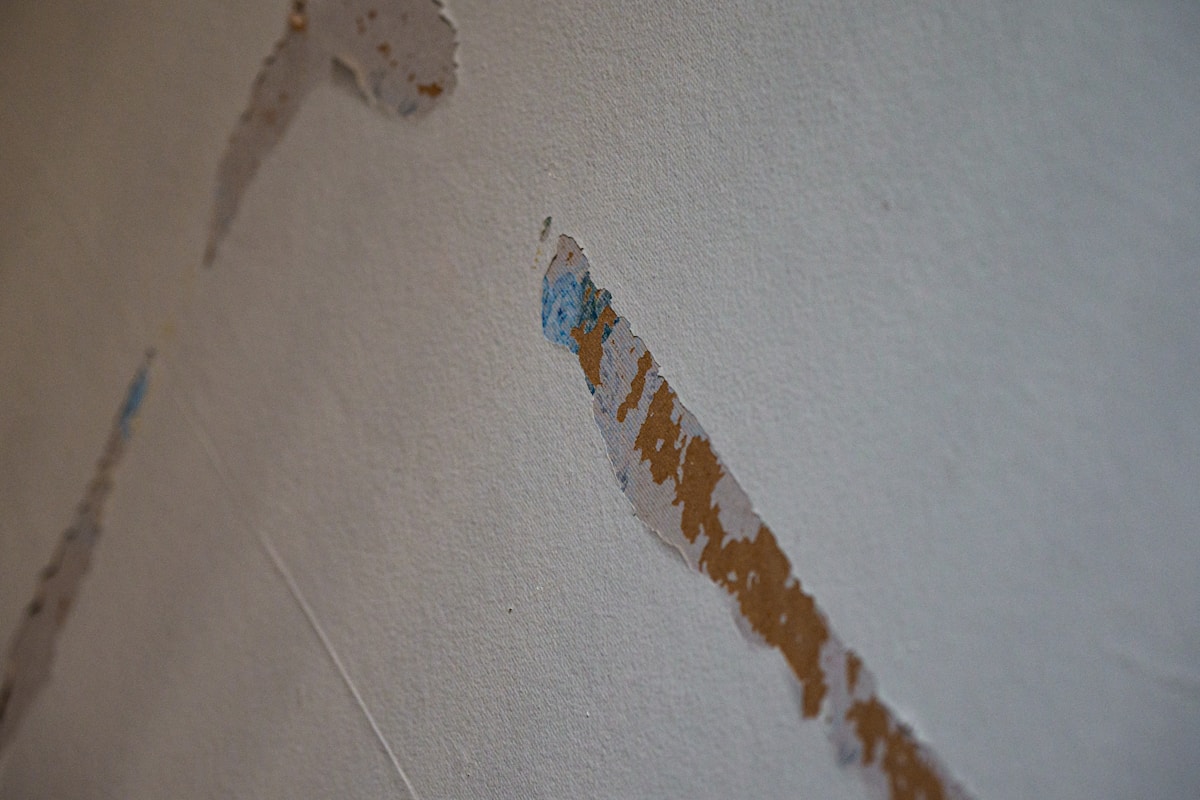 Water Extraction service in Monterey Park, CA